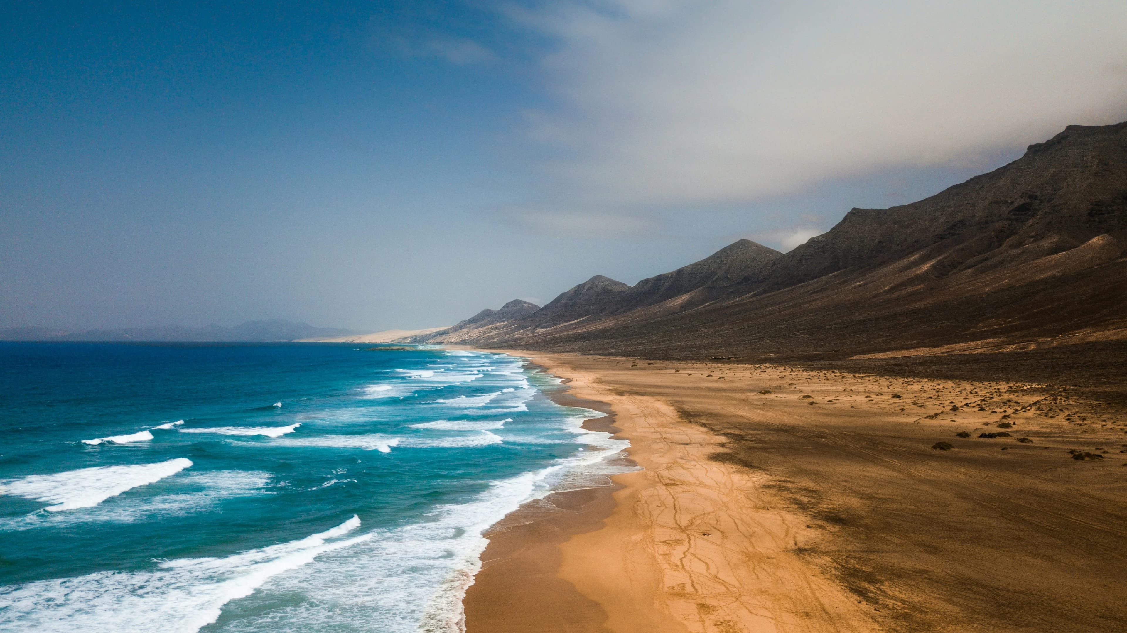 Fuerteventura (île)