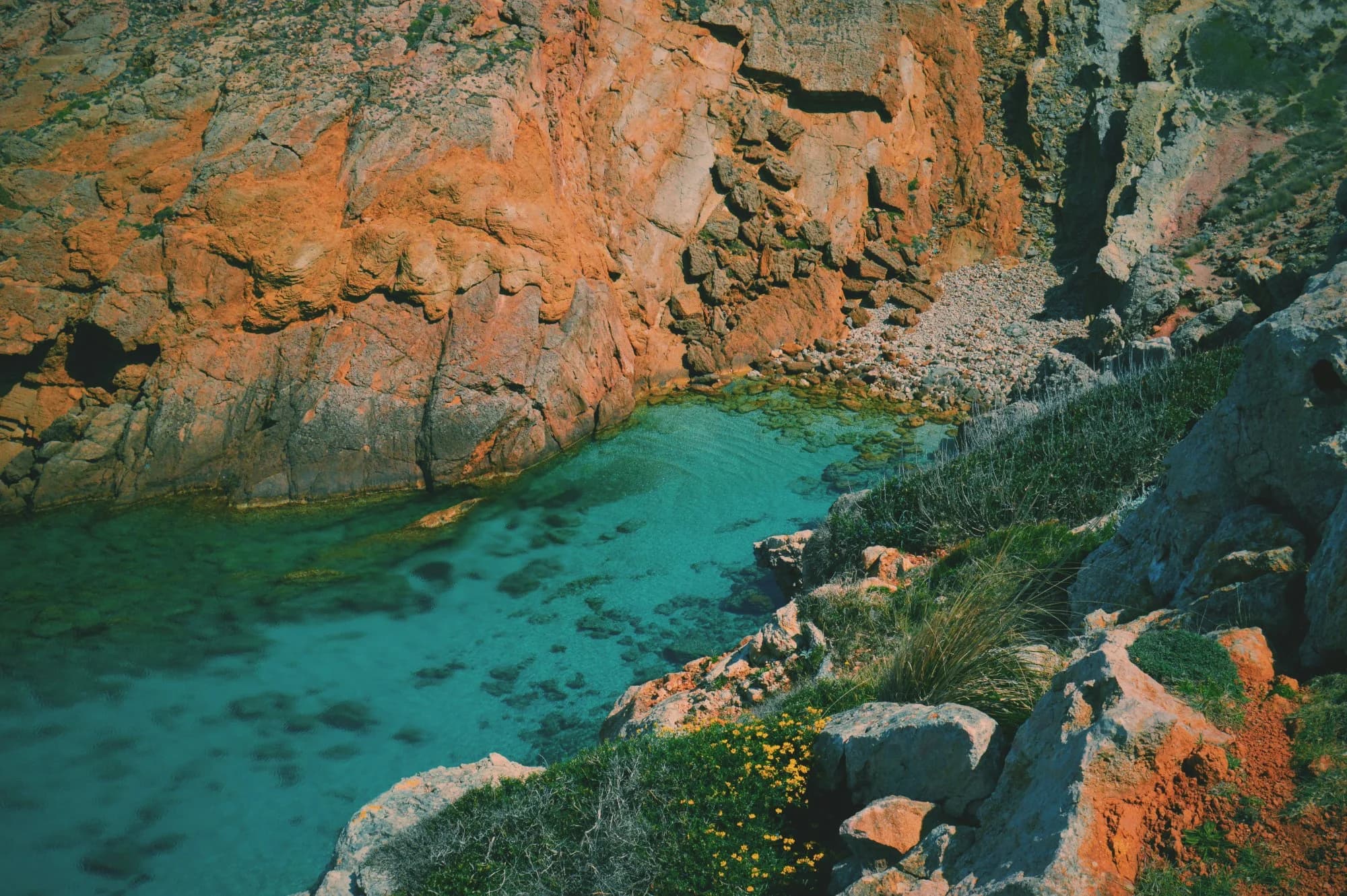 Menorca (island)