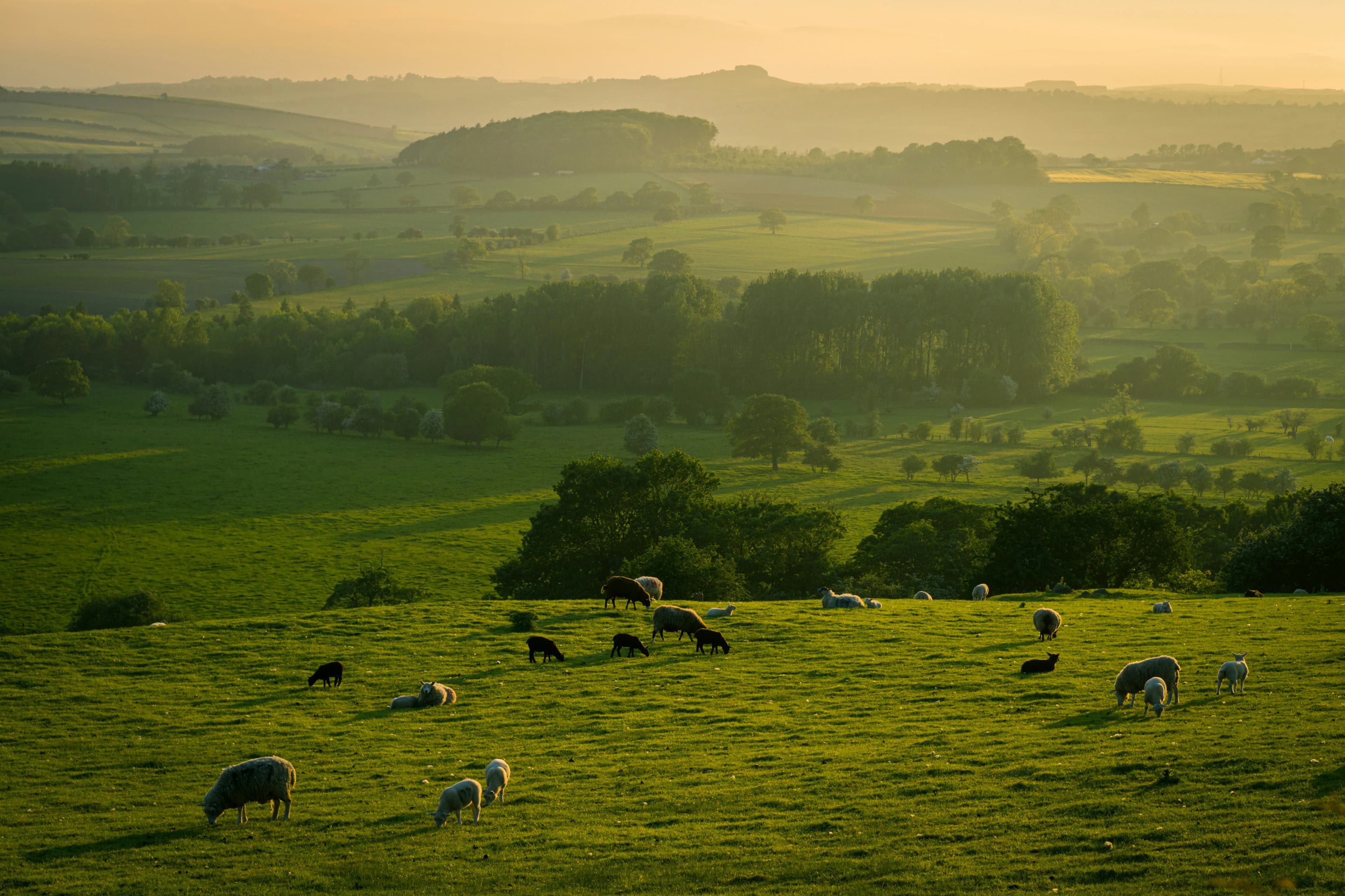 Yorkshire