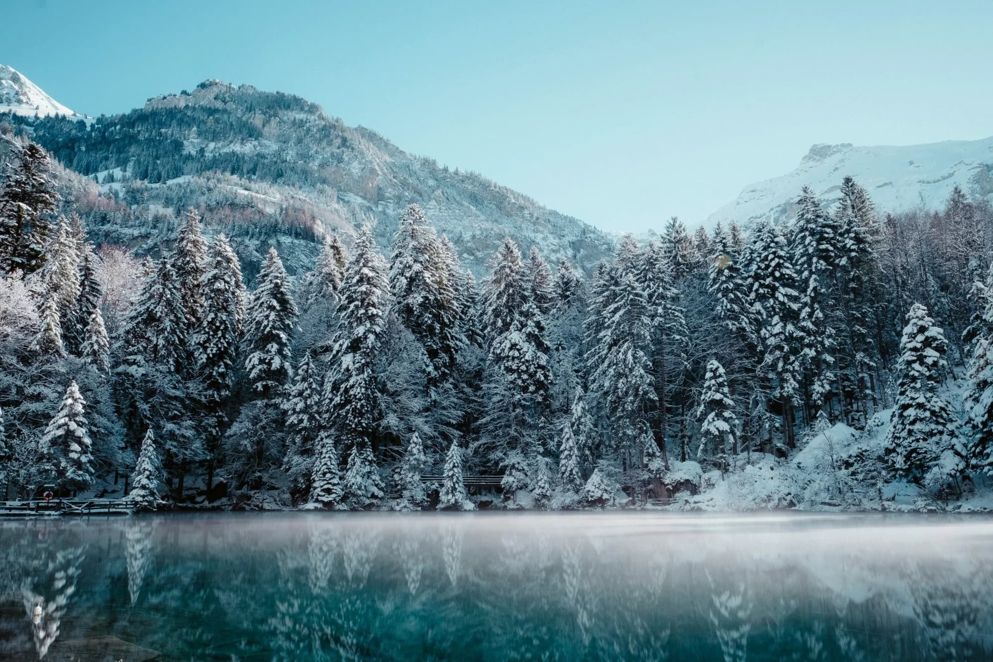 Winter holidays