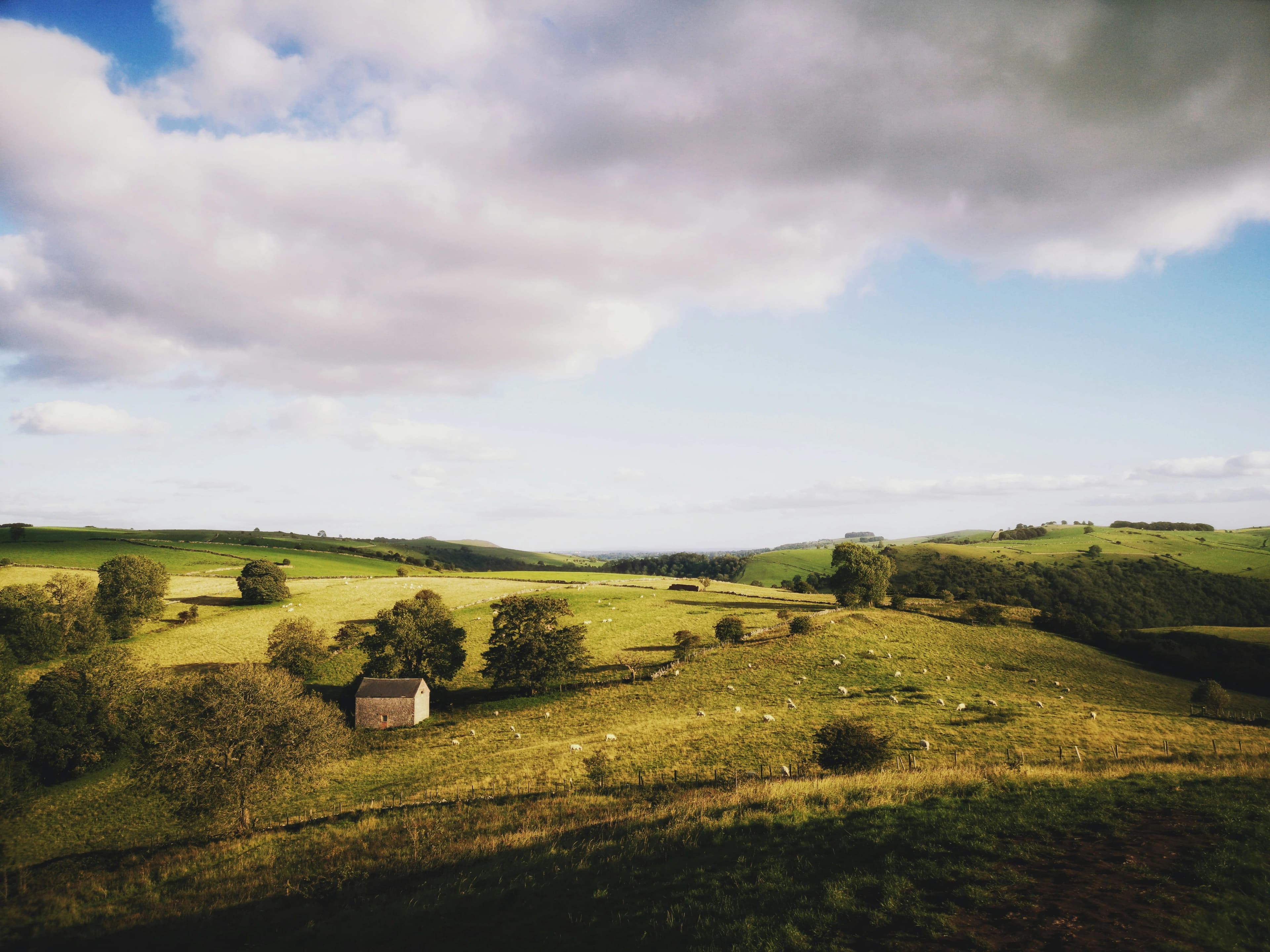Staffordshire