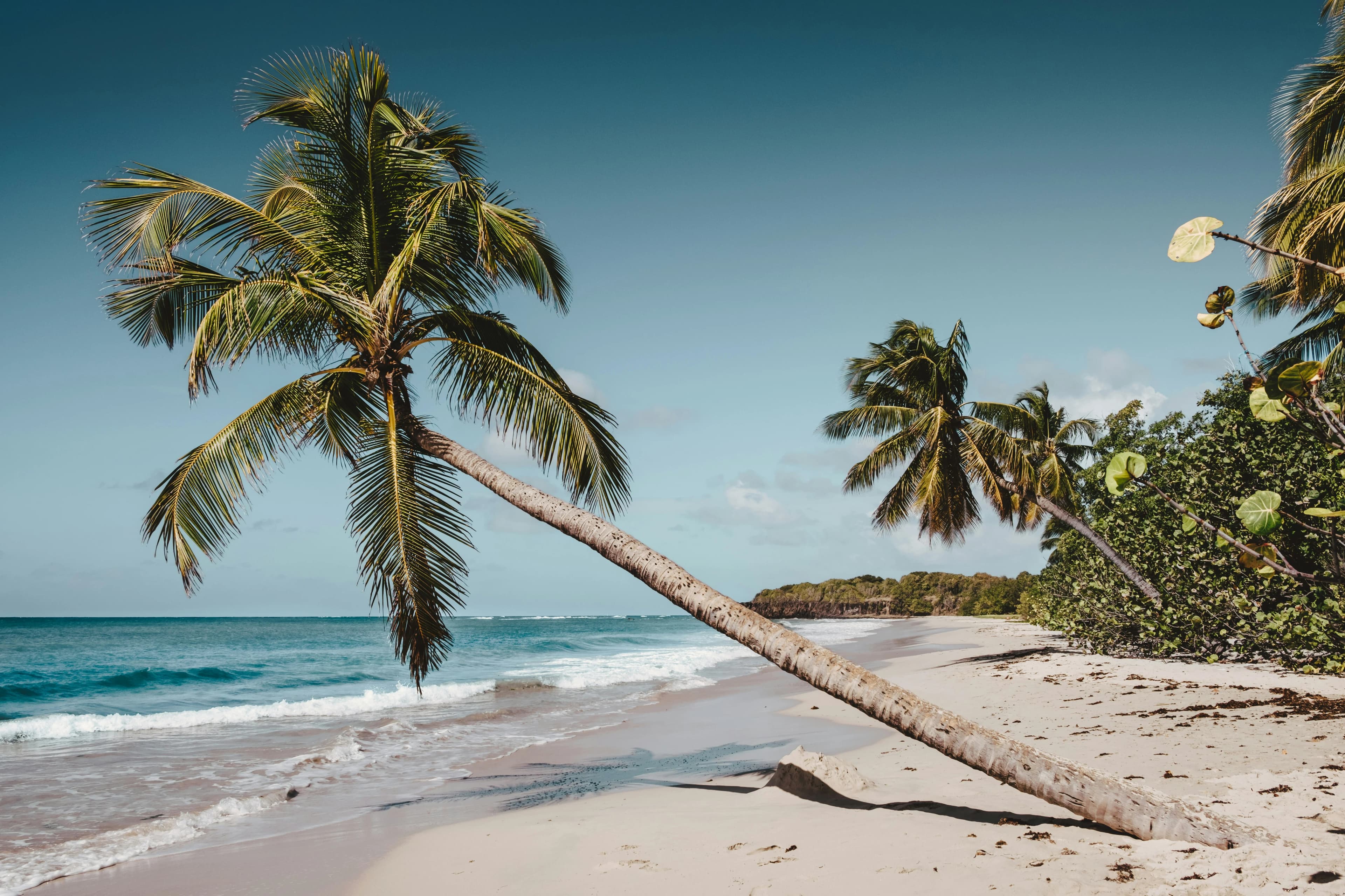 French Caribbean, Caribbean
