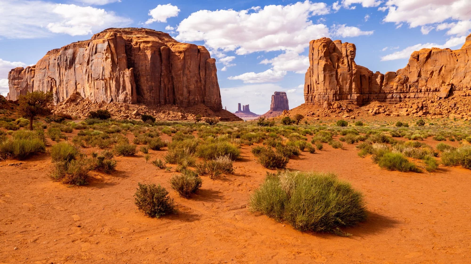 Wüste von Arizona, USA