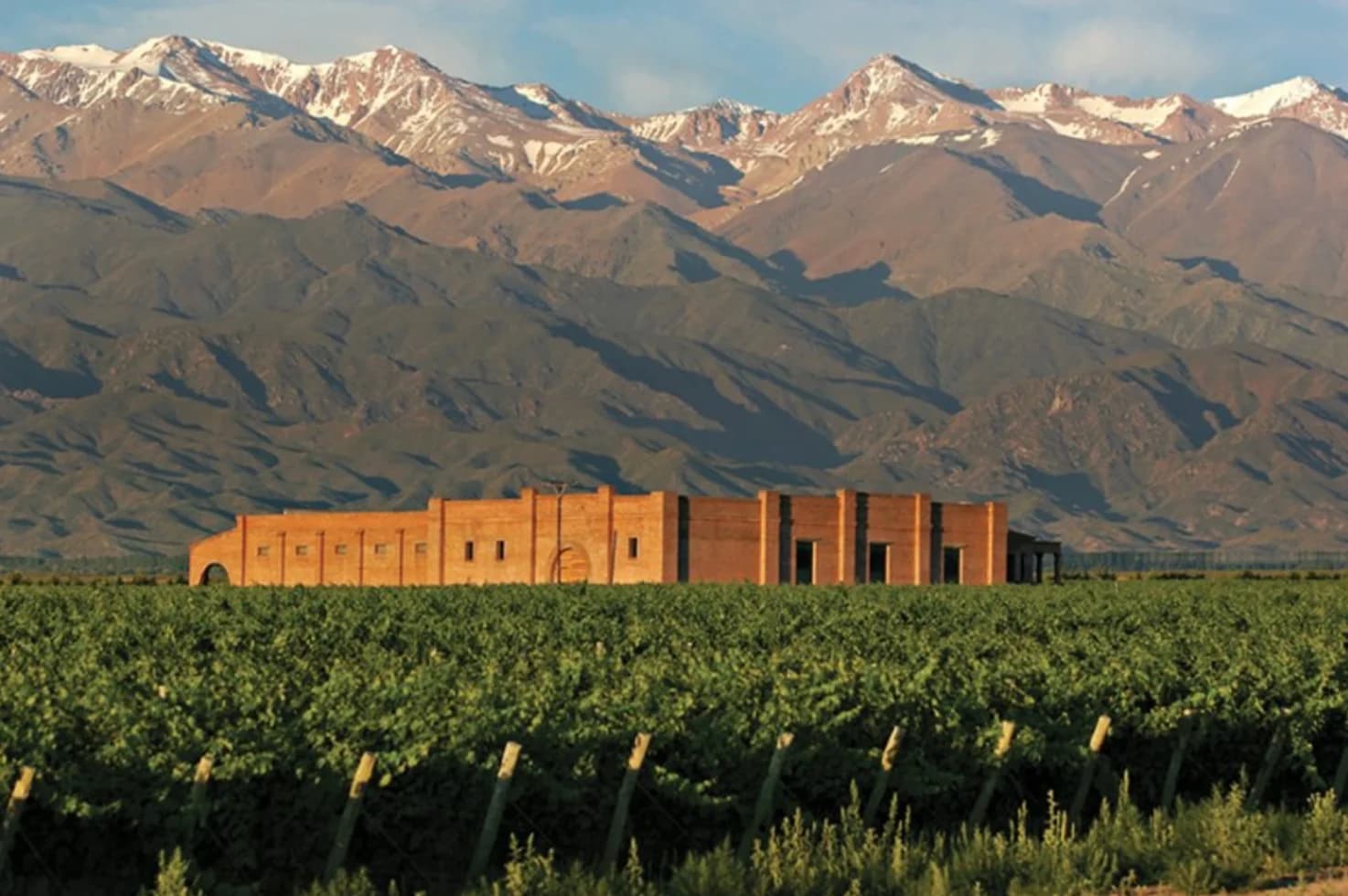 Weinberge von Mendoza, Argentinien
