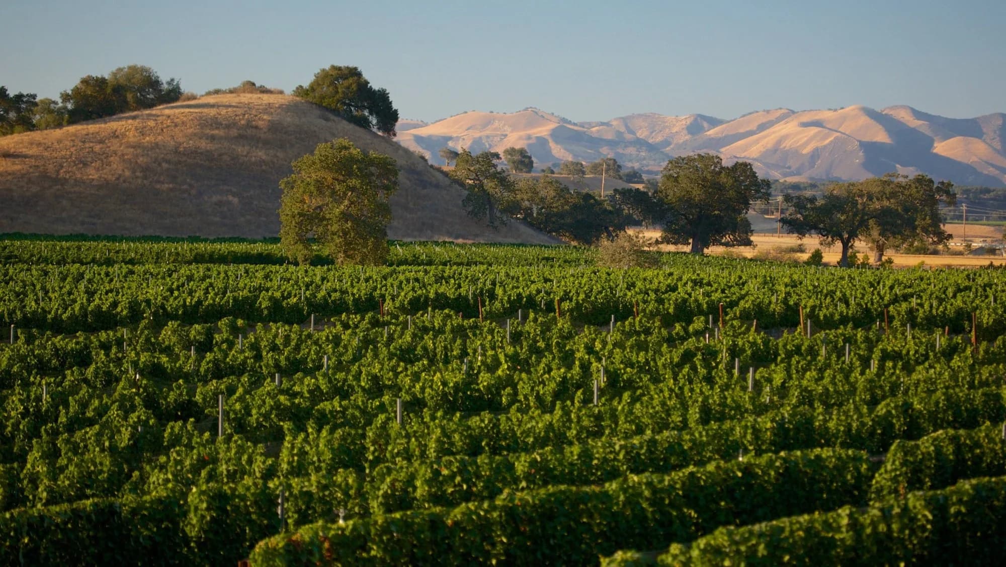 Santa Barbara Weinstraße, USA