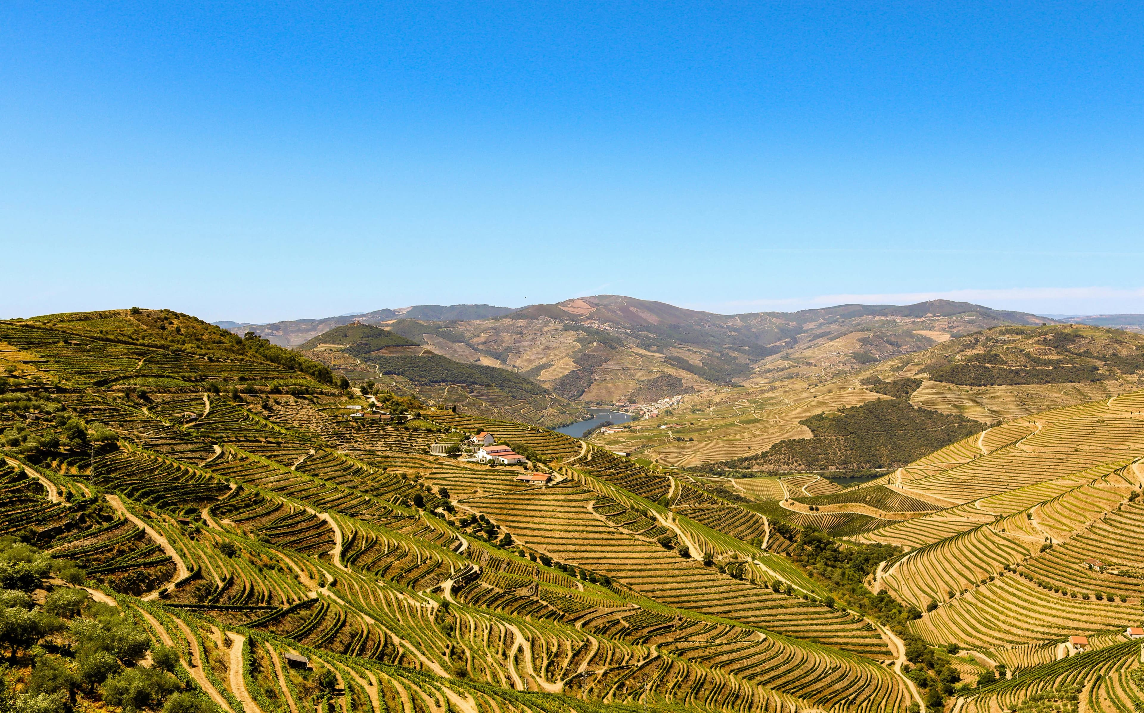 Douro-Tal, Portugal
