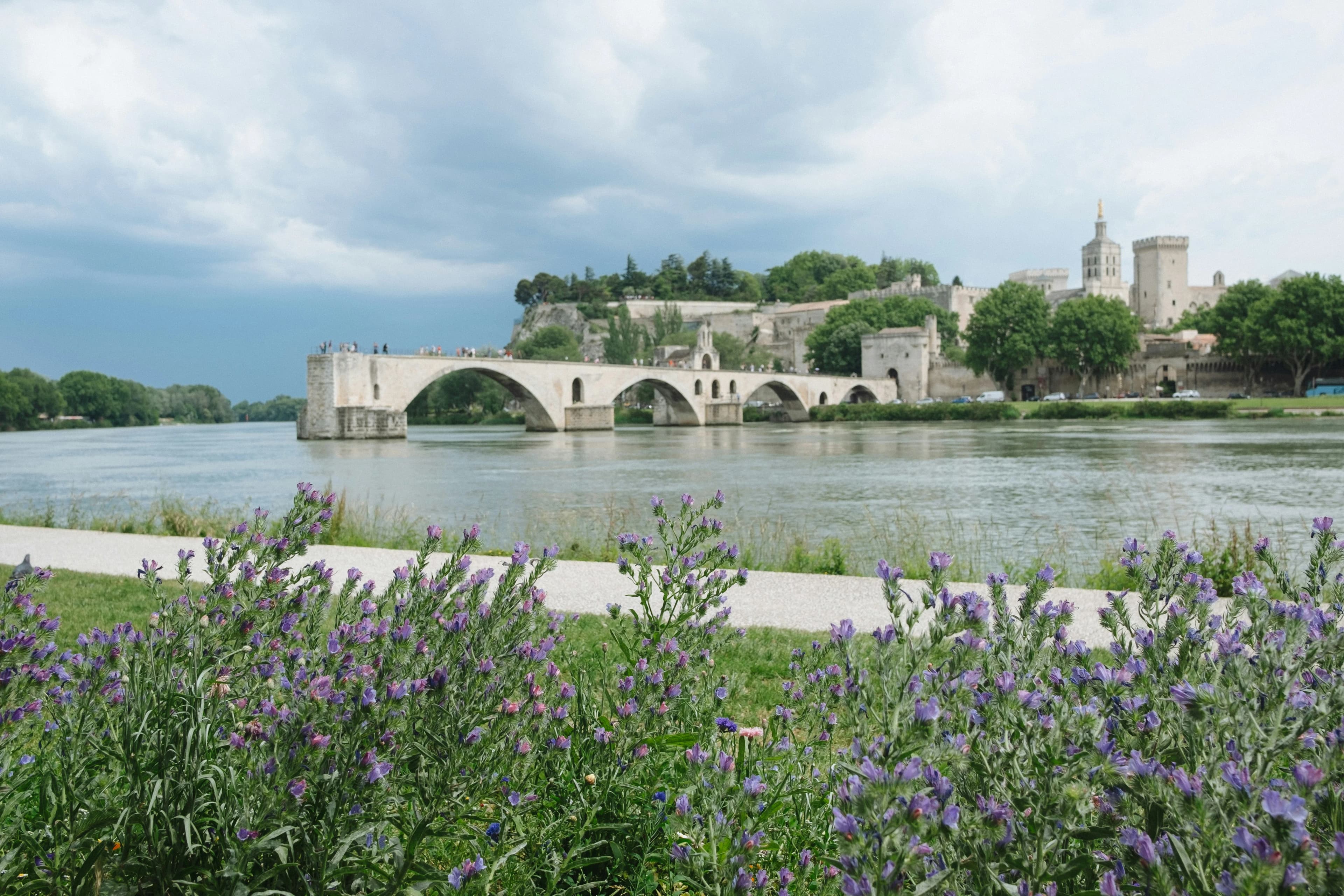 Avignon