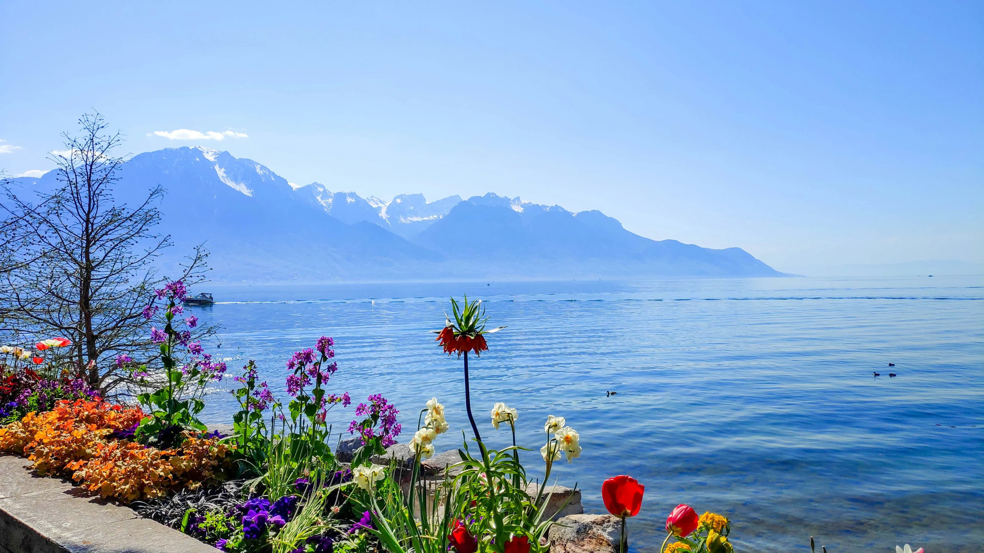 Montreux