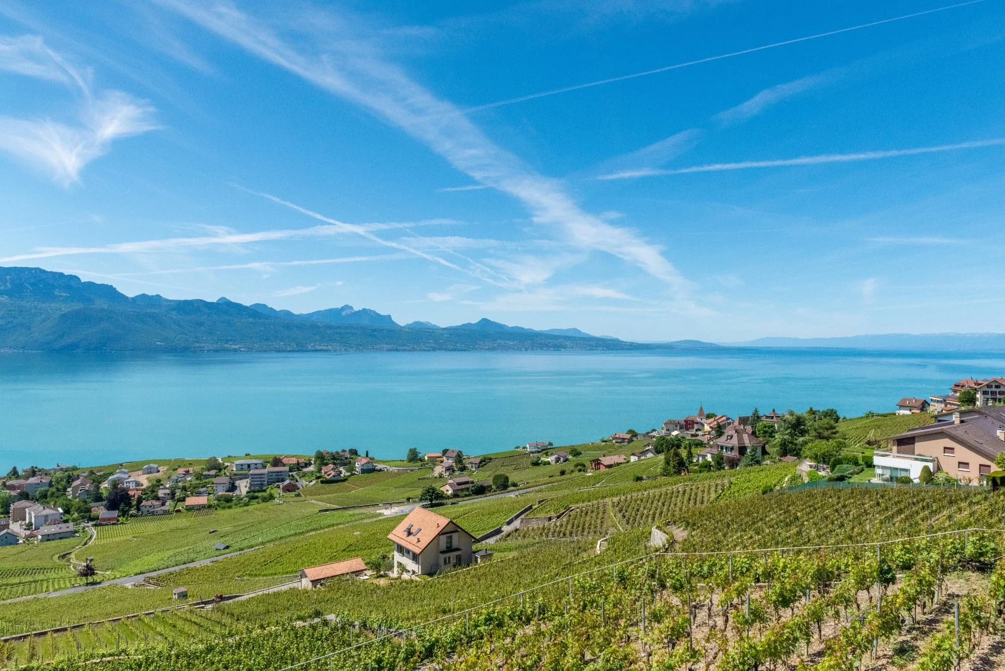 Lausanne