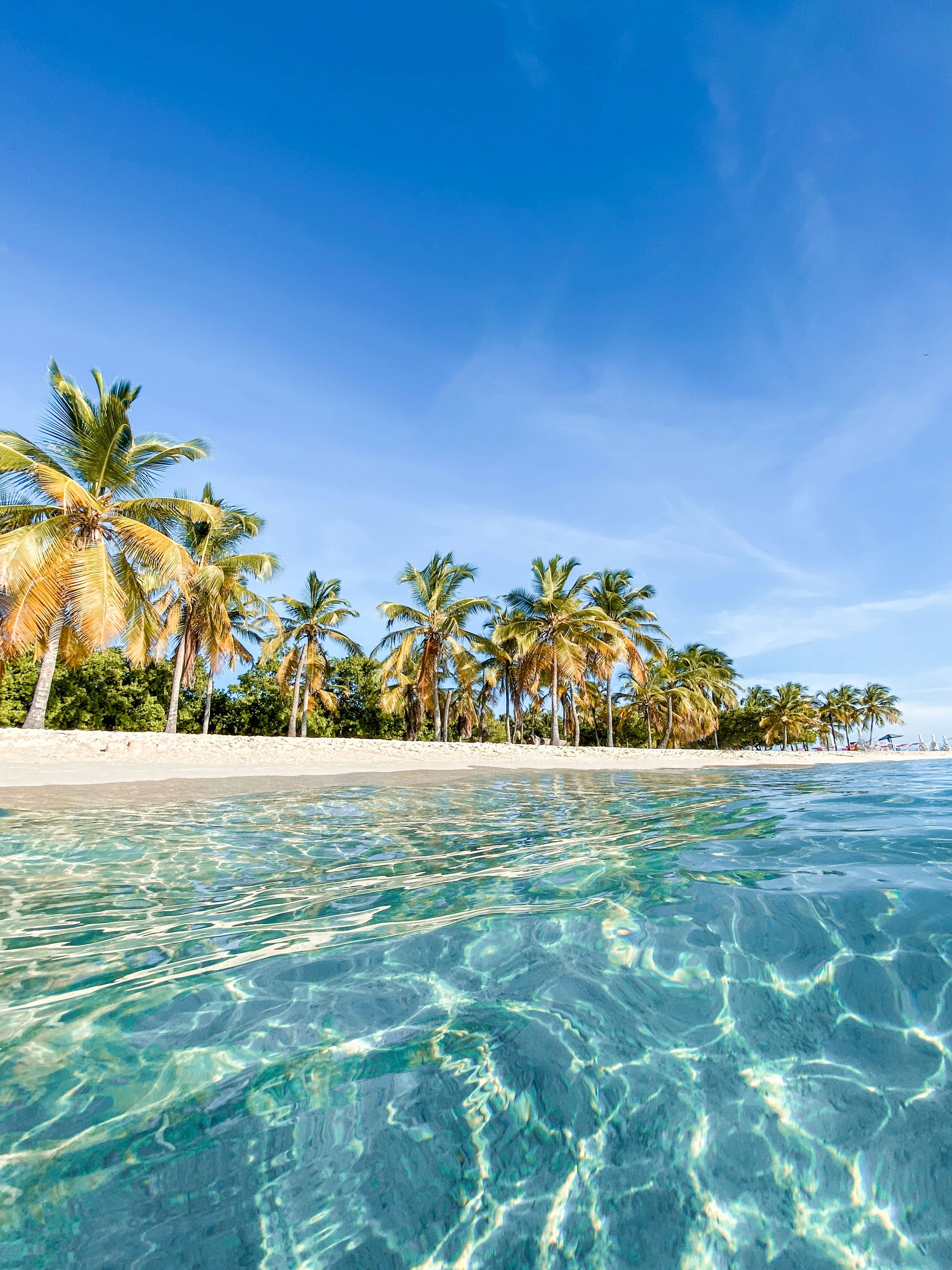 Caraïbes
