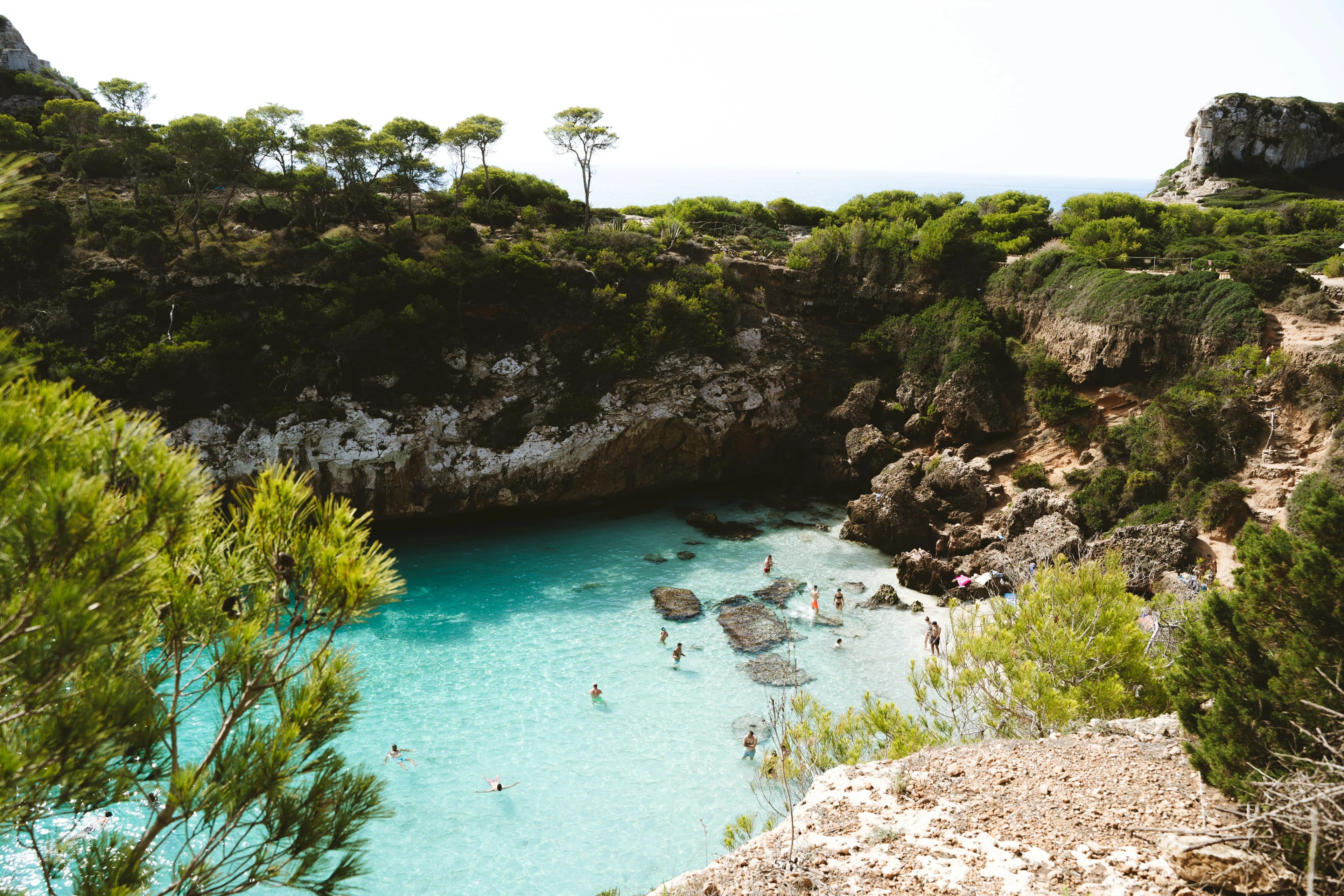 Mallorca (island)
