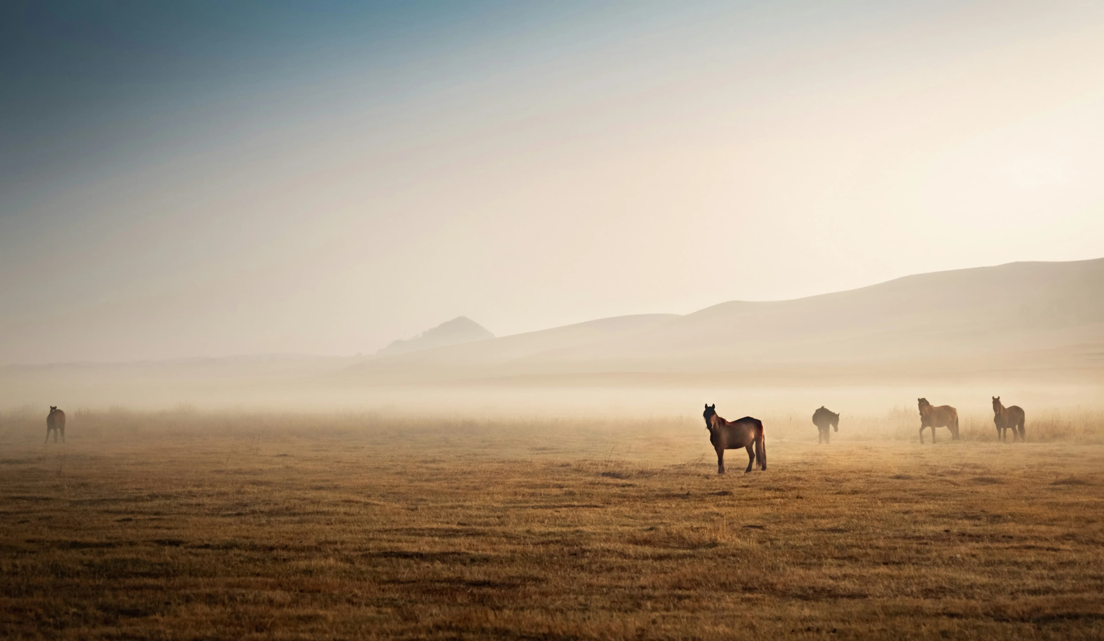 Mongolie