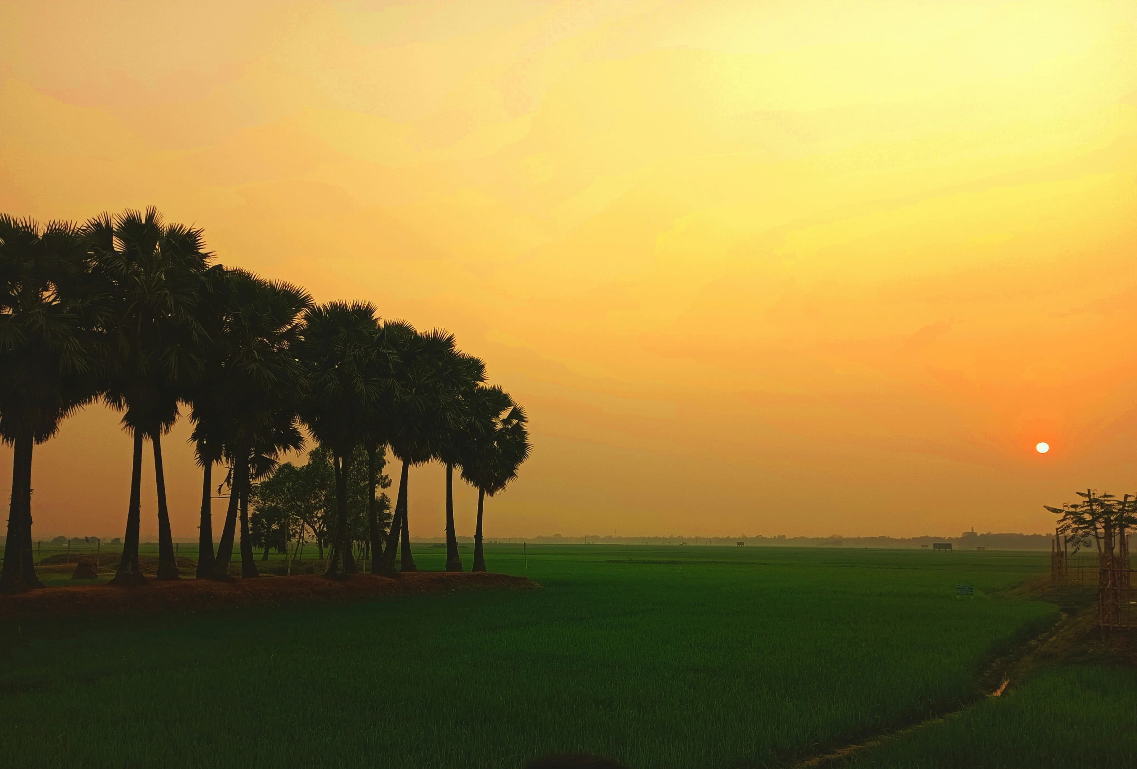 Bangladesh