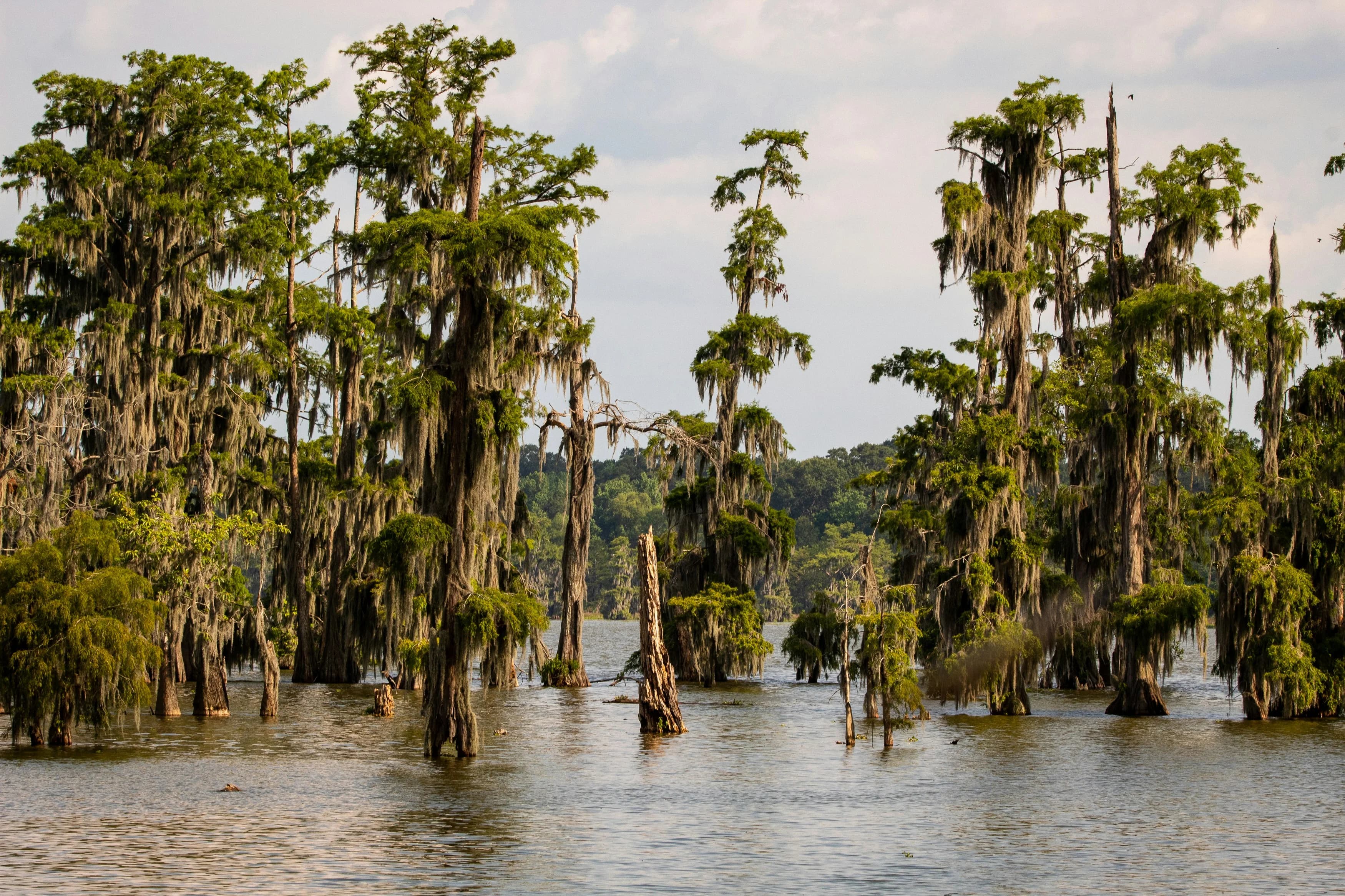Louisiane
