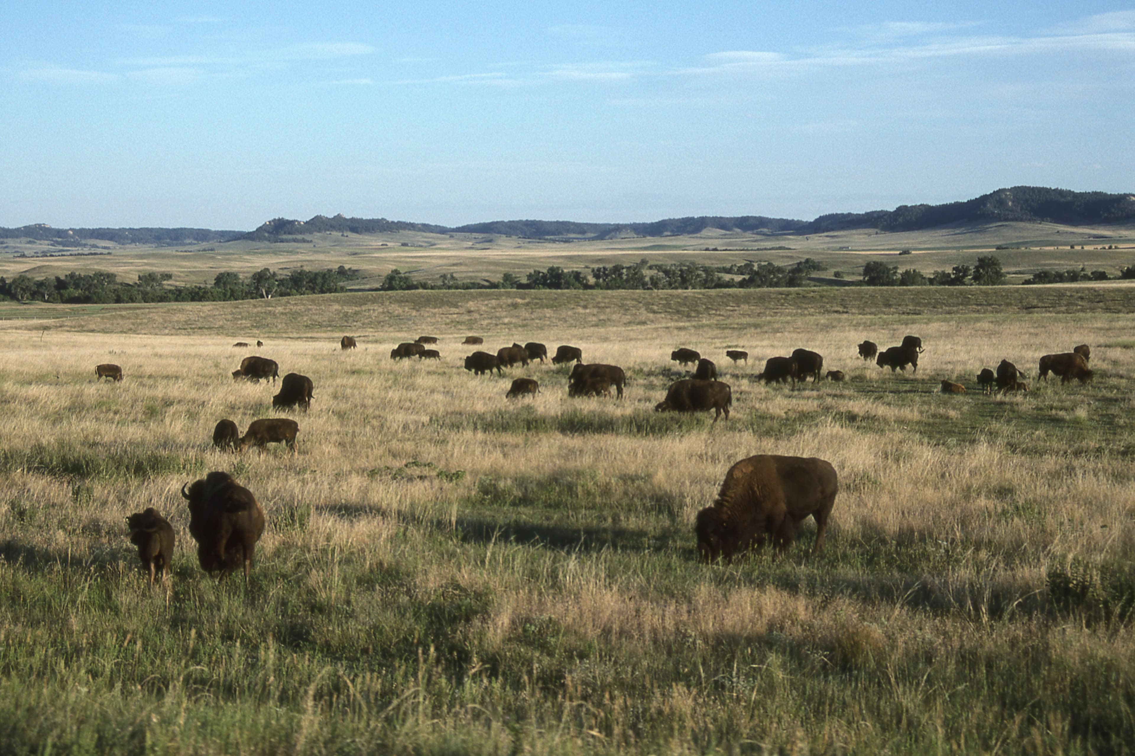 Nebraska