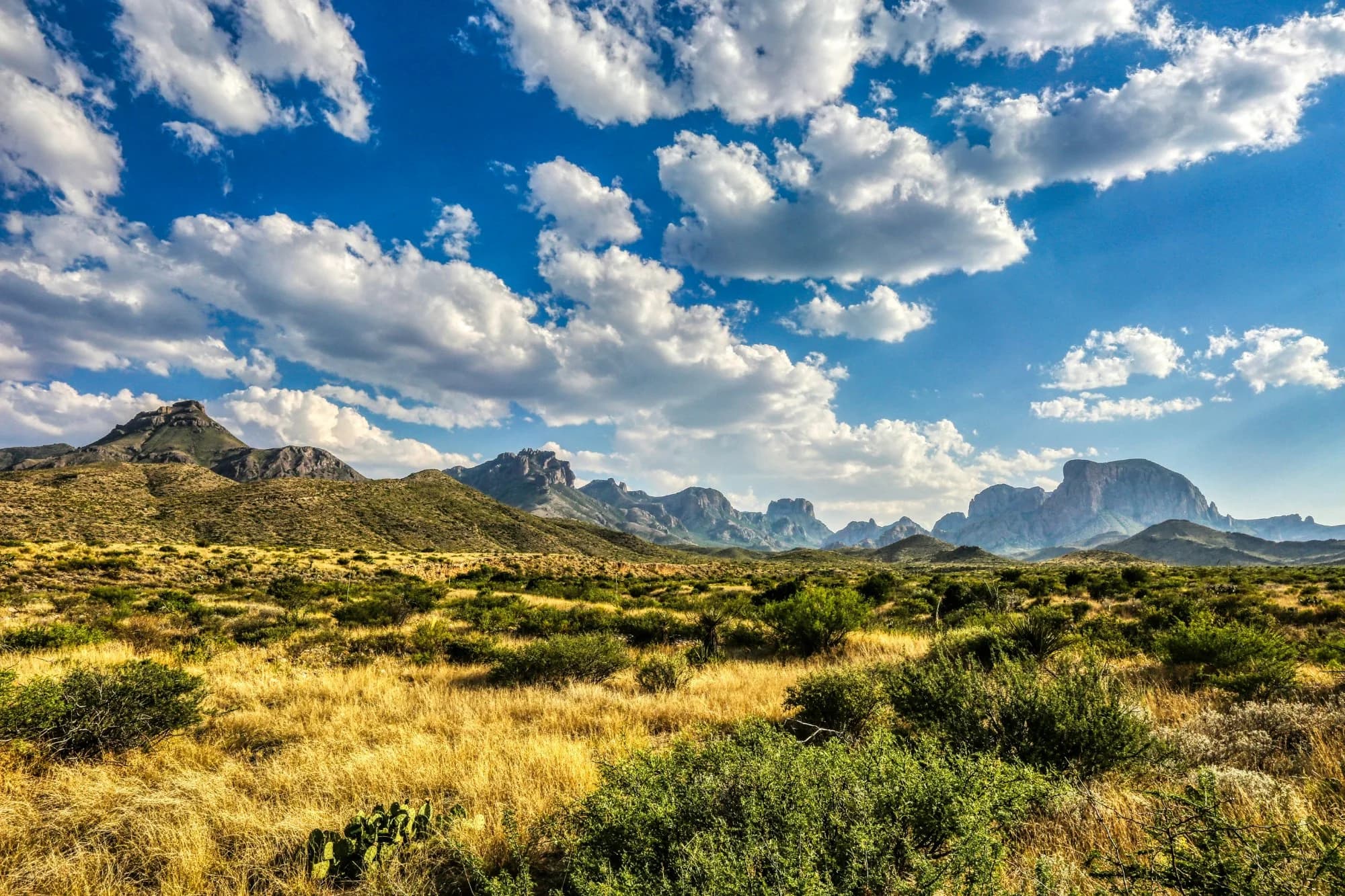 Texas