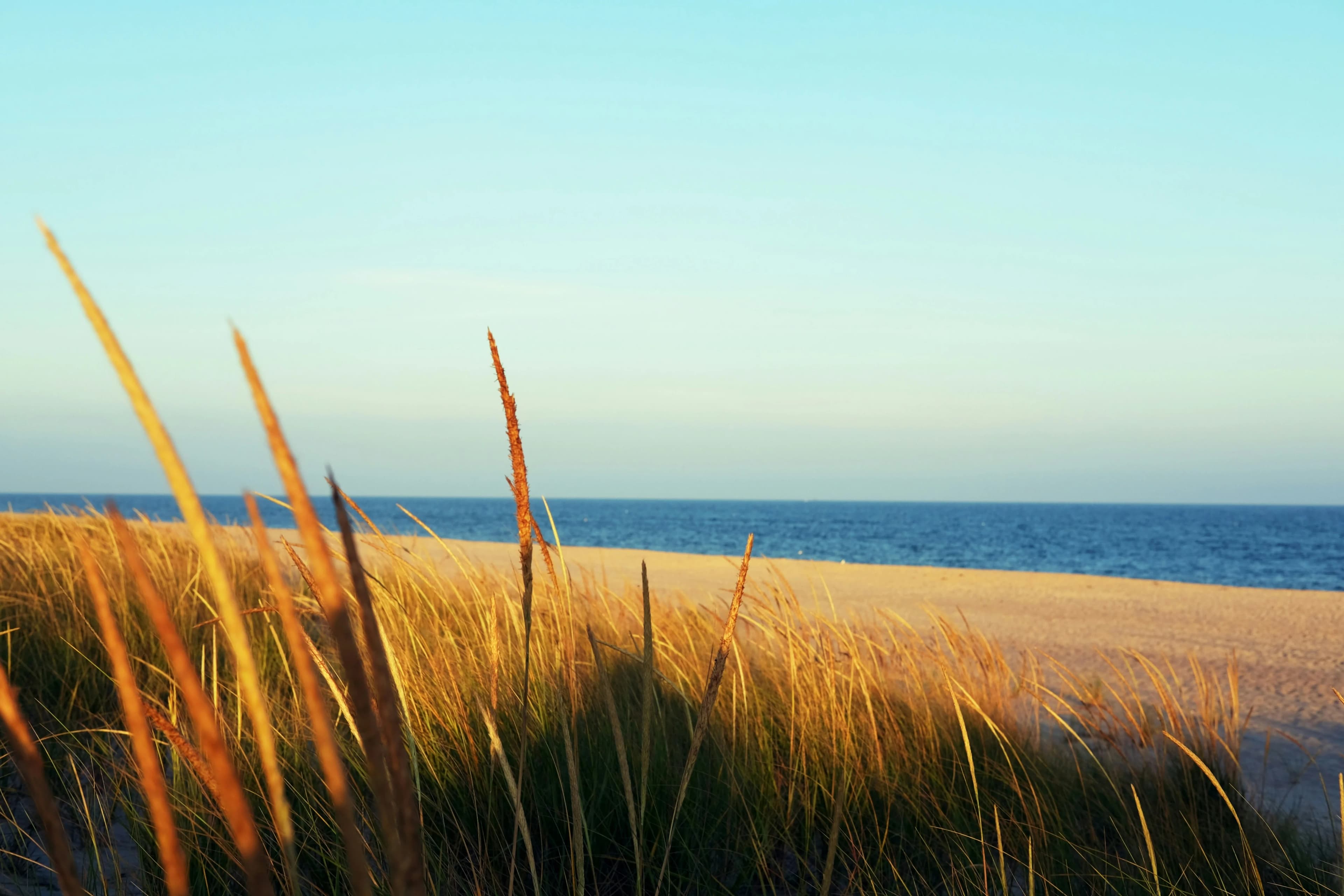 Les Hamptons