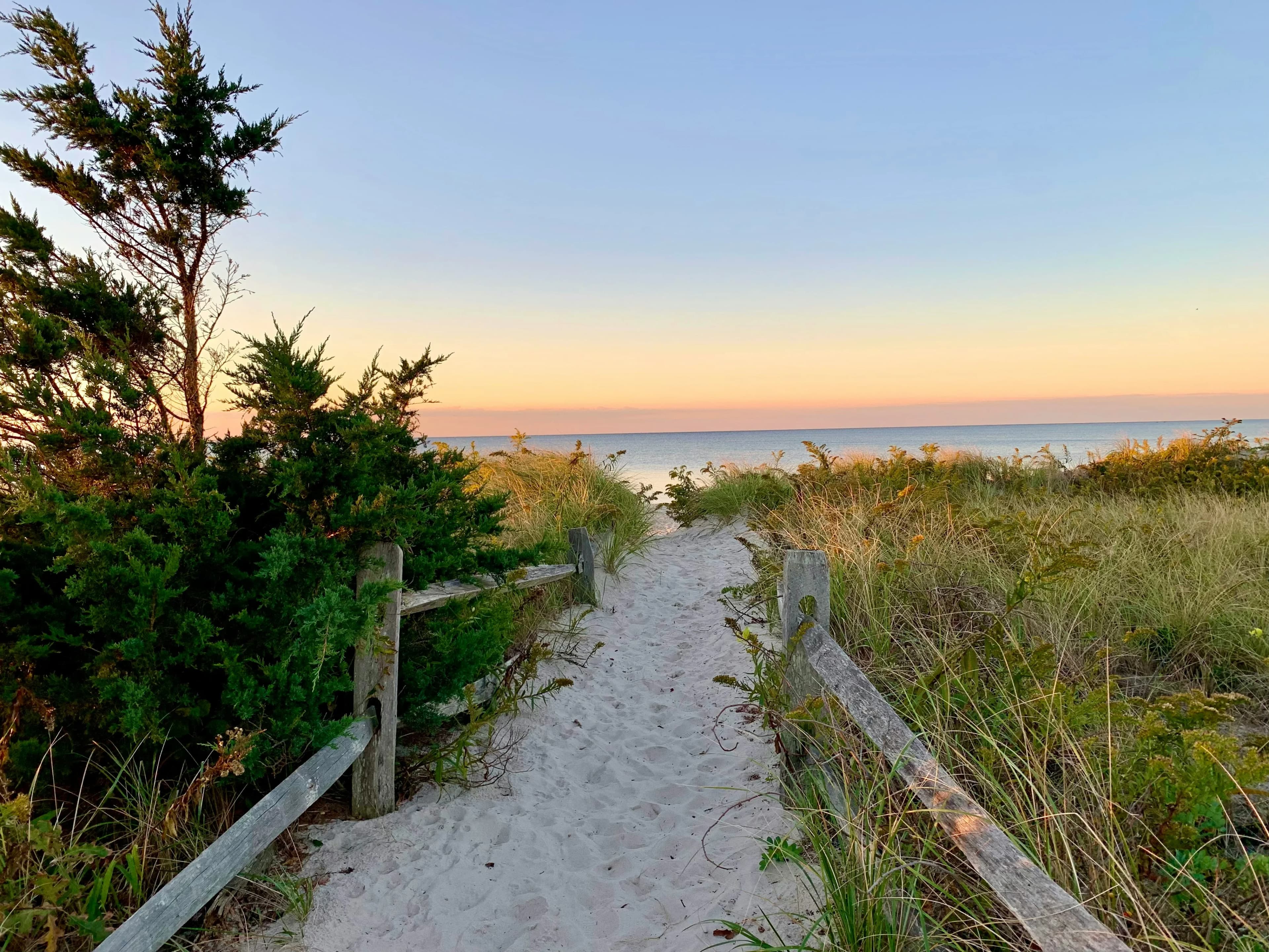 Cape Cod