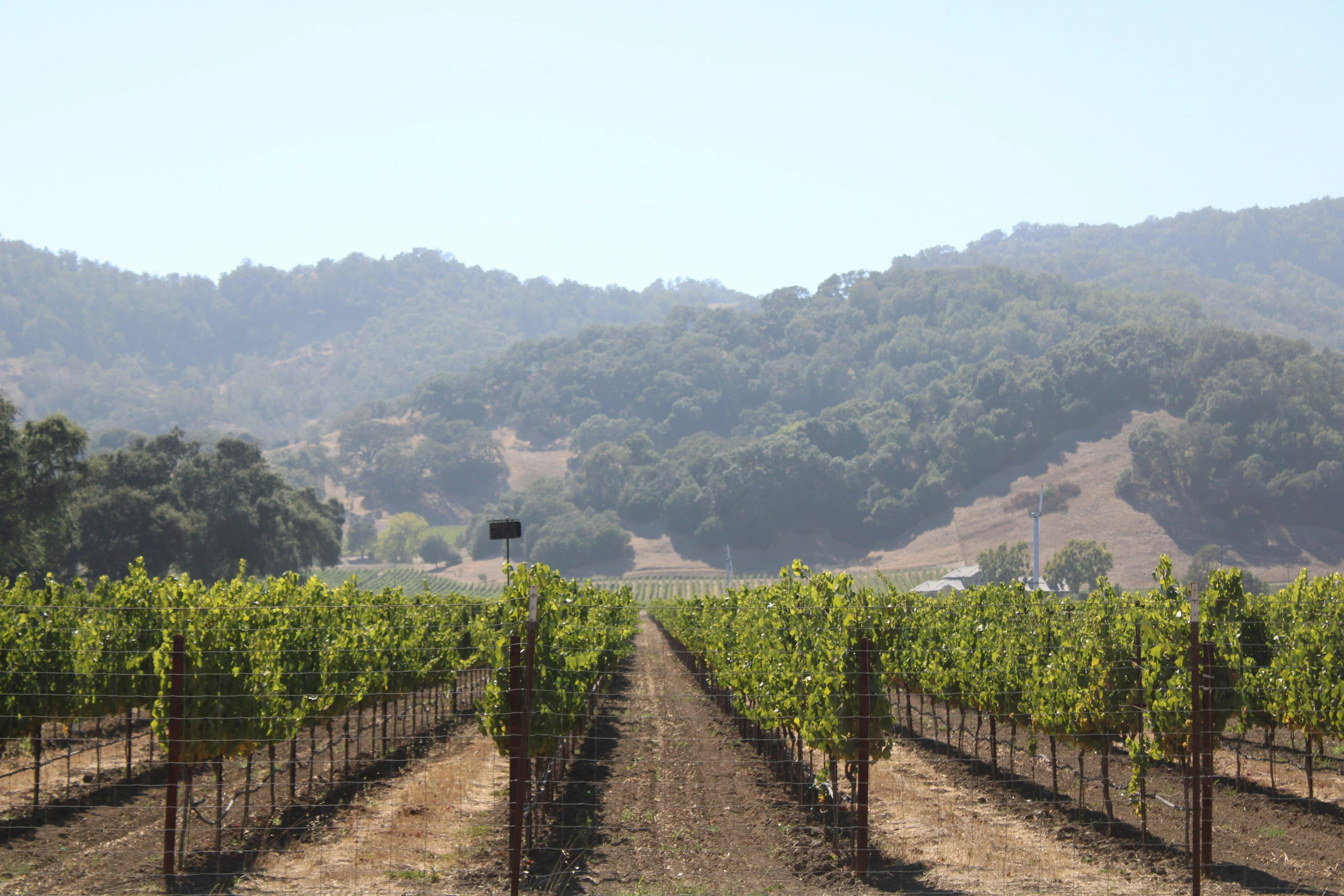 Napa Valley
