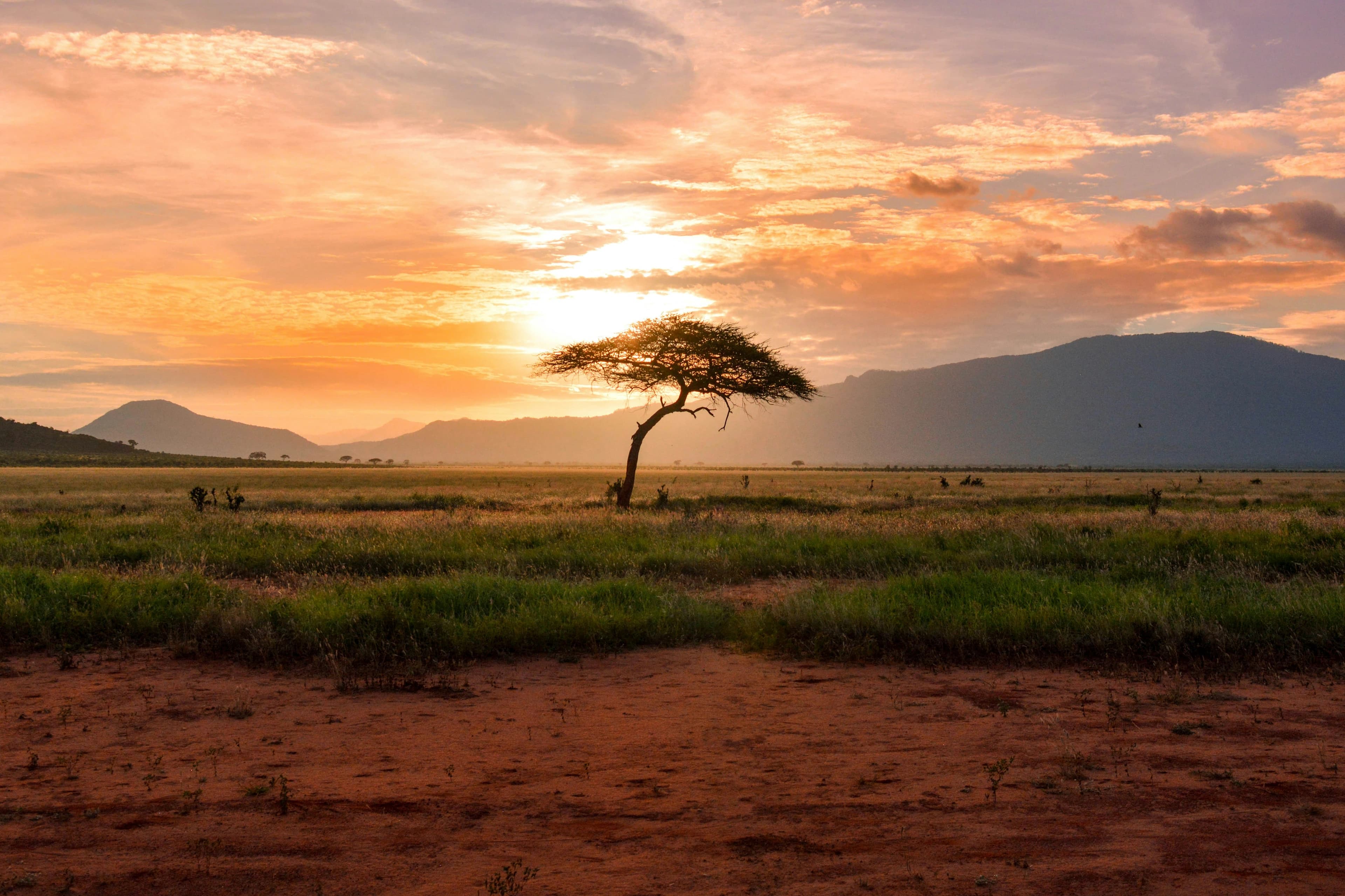 Afrique