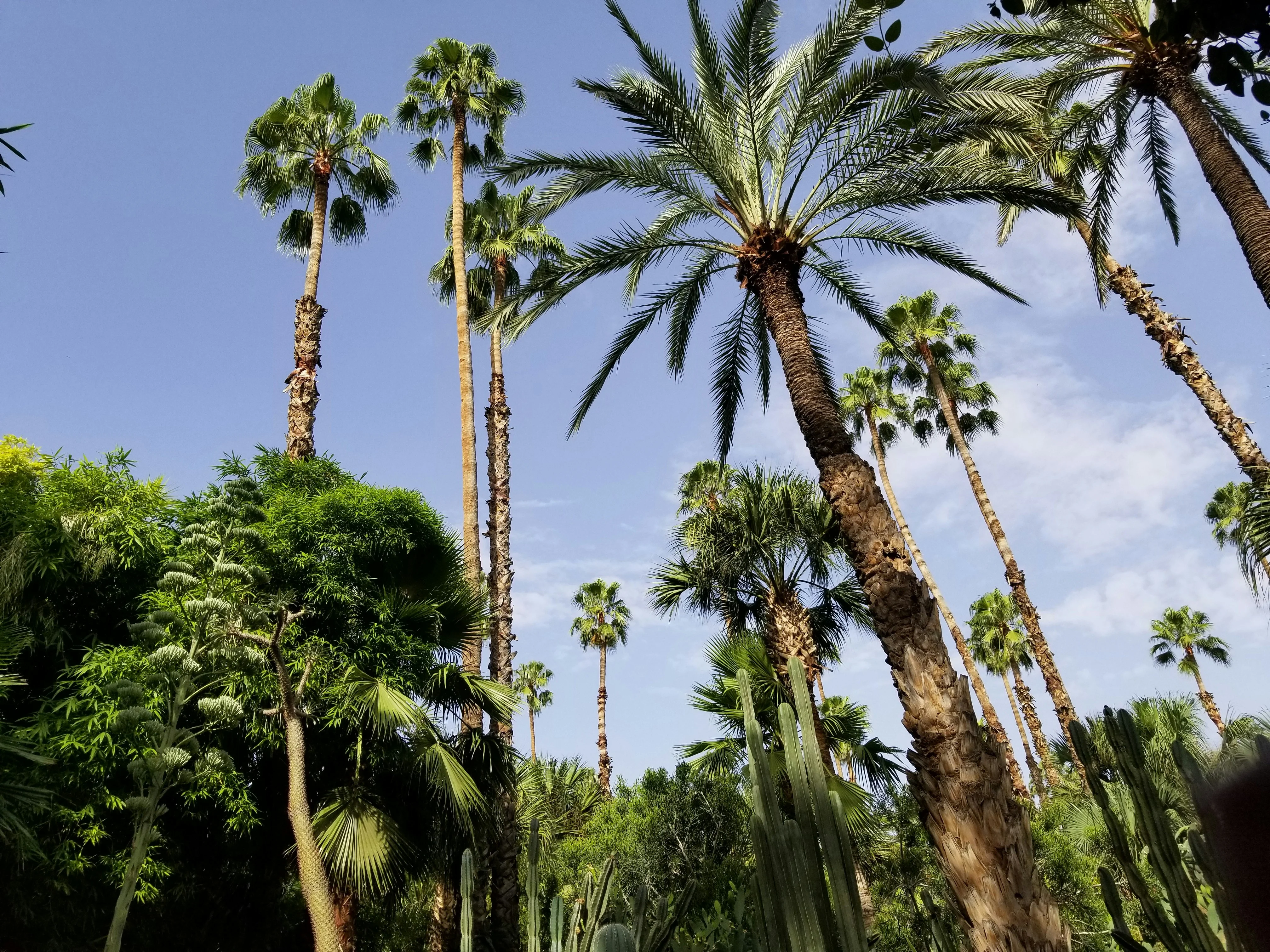 aleks-pu_Ds3tJIf4-unsplash