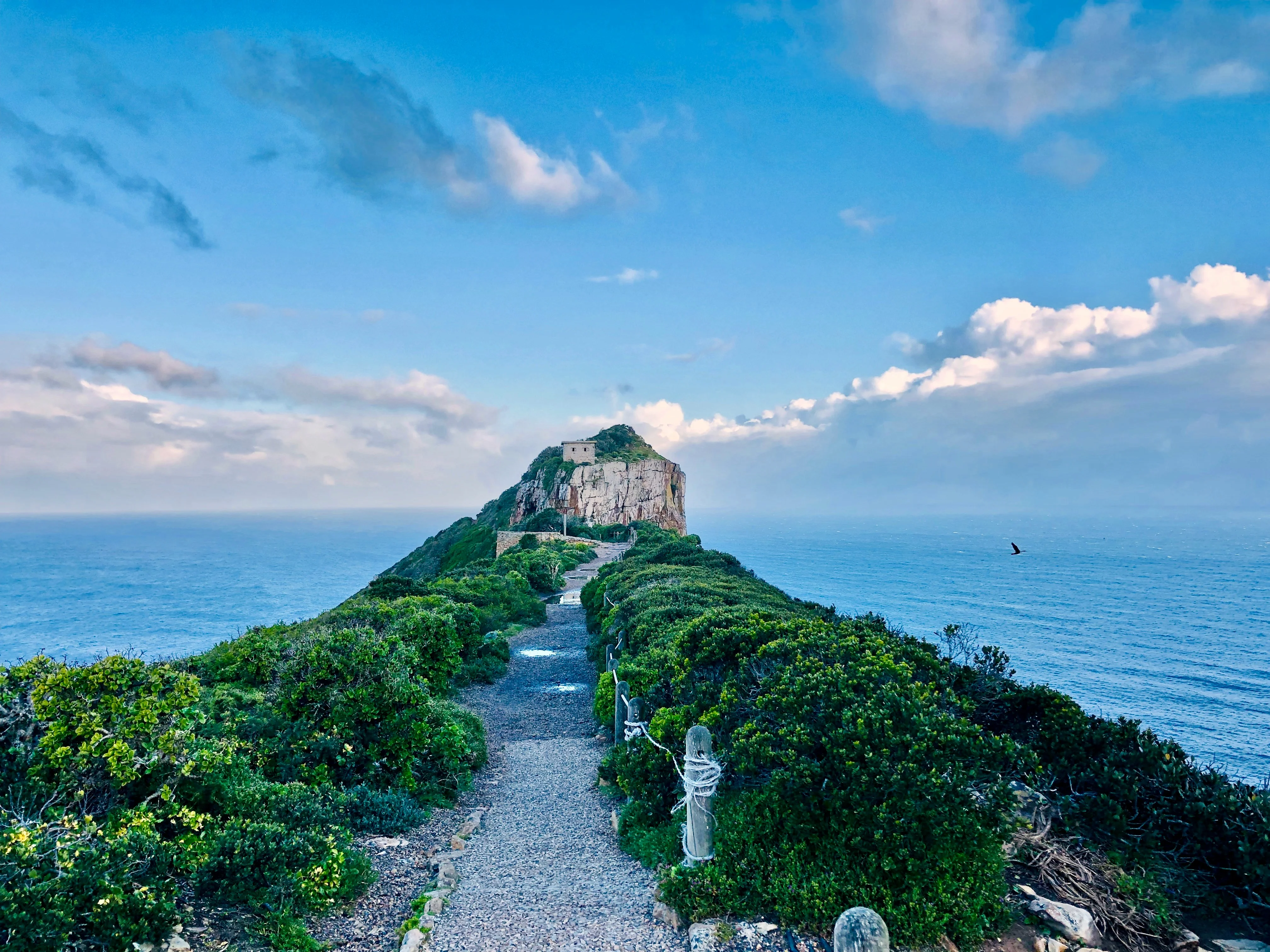 stephane-ben8-SWwwb-jx9J0-unsplash